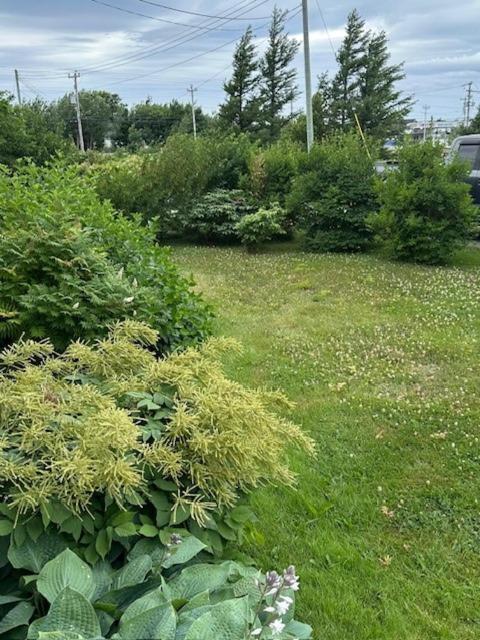 Lancaster Inn B&B Bonavista Zewnętrze zdjęcie